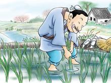 揠苗助长的意思和道理 - 古诗文言文